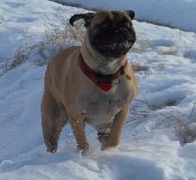 Lola 17 kk/months