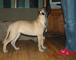 Lola 3,5 months
