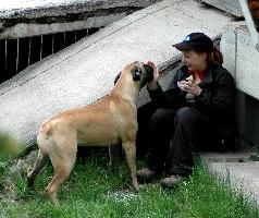 Lola 8 months