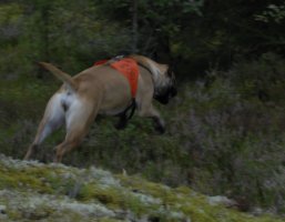 Lola 08.2009