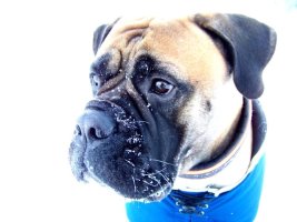 Lola 01.2010