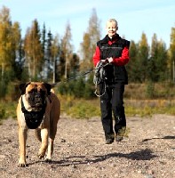 Lola & Miia töissä/working Lola & Miia töissä/working