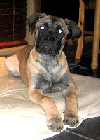 Maisa 6 months