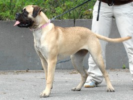 Maisa 8 months