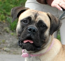 Maisa 8 months