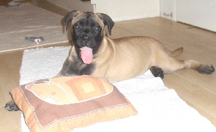 nita 3 months