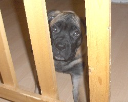 nita 3 months