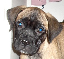 Nita 12 weeks