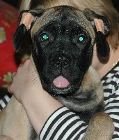 Nita 3,5 months