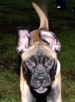 Nita 4 months