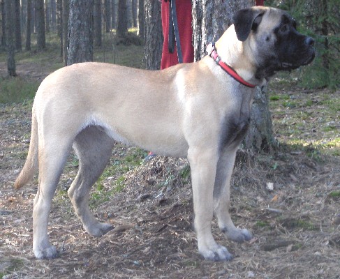 Nita 6 months