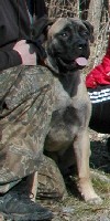 Nita 7,5 months