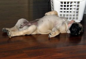 Nova relax Nova relax