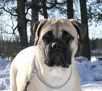 Nova 10,5 months
