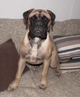 Onni 5,5 kk/months Onni 5,5 kk/months