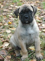 6,5 weeks