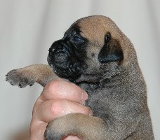 A Go Go 2,5 weeks