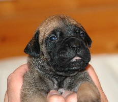 A Go Go 2,5 weeks