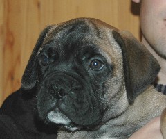 andy 9 weeks