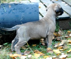 4,5 weeks outside