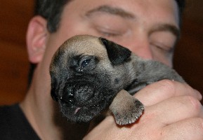 Pesonen 2,5 weeks