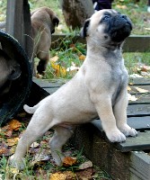 4,5 weeks outside