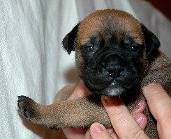 Point 2,5 weeks