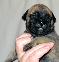 Puh 2,5 weeks