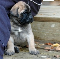 4,5 weeks outside