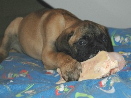 9 weeks