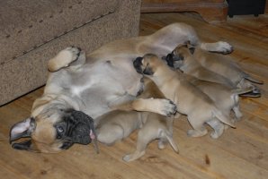 4,5 viikkoa/weeks
