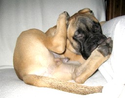sleepy pesonen