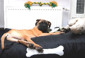 Pesonen & new bed