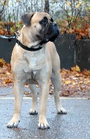 Pesonen 13 months