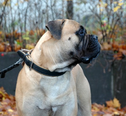 Pesonen 13 months