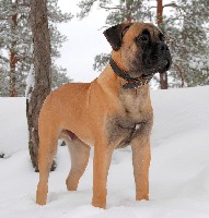 Pesonen 6 months