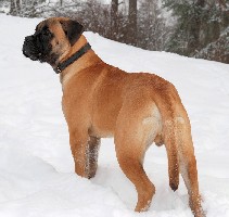 Pesonen 6 months