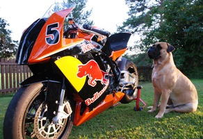 Pesonen & Team Red Bullmastiff racing bike