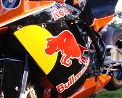 Team Red Bullmastiff racing bike