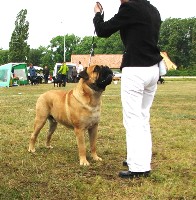 Porthos Visby INT 2007