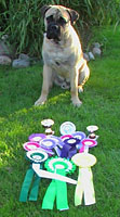 Porthos 9 months
