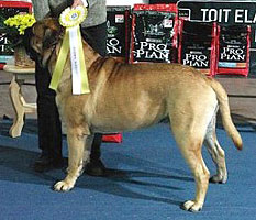 Porthos Tartu INT BIG3