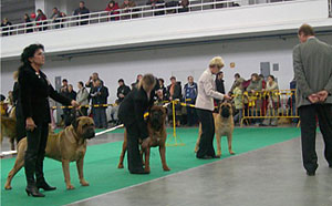 WW-06 final 3