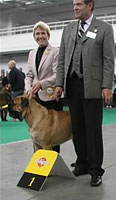 Porthos WW-06 intermediate winner