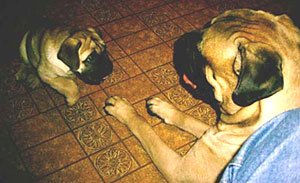 Porthos & David 2005