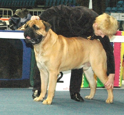 Porthos Estonian Speciality 2.2008