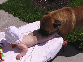 Porthos & baby Maris
