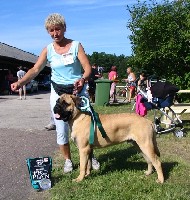 Porthos BIS4 puppy