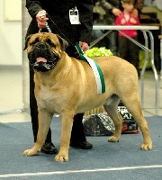 Porthos RYP/BIG4 Tallinn INT 2.2009