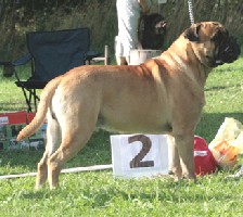 Porthos 7.2007